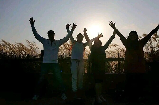 5Hour Private Taxi driver Tour in Jeju - Introduction