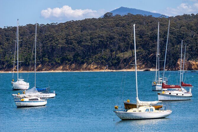 5hr Eden Tour in Nature; Beach, Lookout & National Park - What Our Reviewers Say