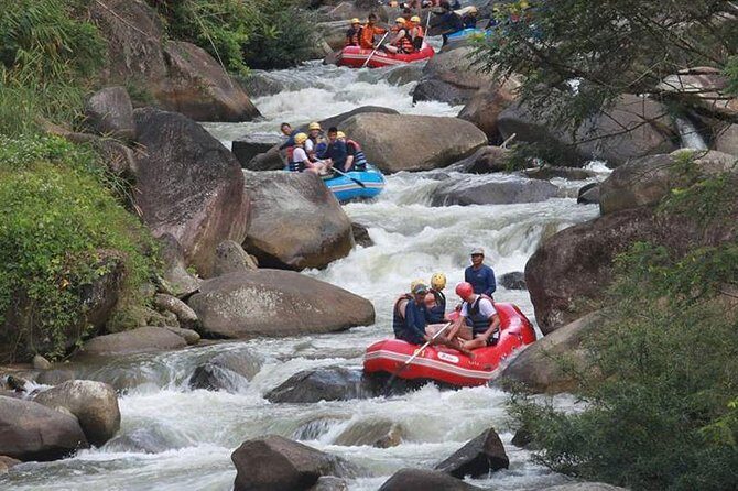 5km White Water Rafting and Jungle Tour From Phuket - Key Points