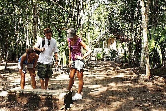 5x1 Deluxe Tour Tulum, Coba, Cenote Transportation from Tulum - Introduction