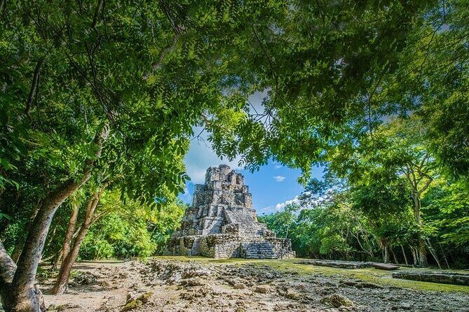 5x1 Deluxe Tour Tulum, Coba, Cenote Transportation from Tulum - FAQ