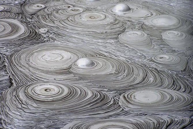 6.5 hour Small-Group Rotorua Naturally Shore Excursion - Tauranga - Introduction: What to Expect from This Rotorua Shore Excursion