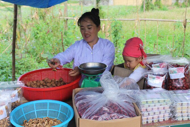 6 - 8 Day Vietnam Itinerary | Magnificent | Best 2025 Northern - Practical Insights and Value