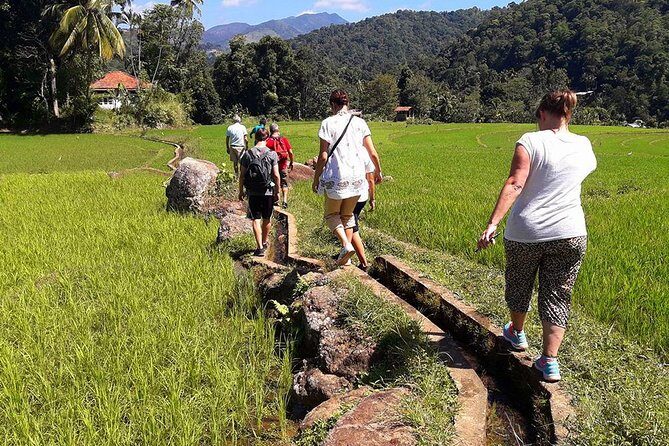 6-Day Authentic Experiences in Sri Lanka - What Makes This Tour Stand Out?