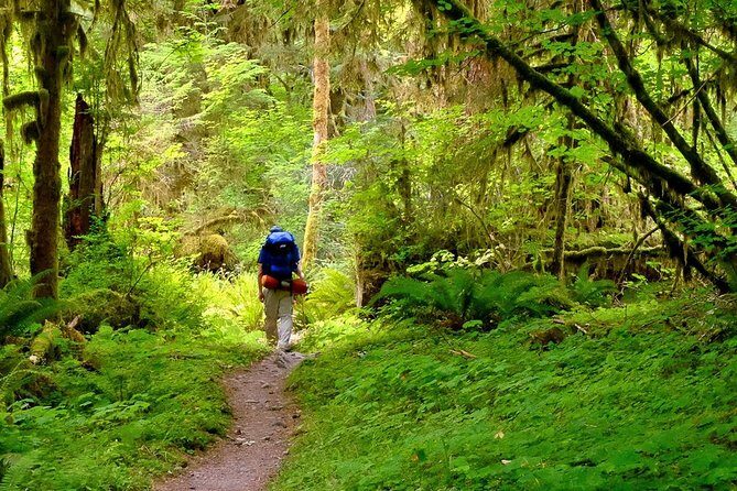 6-Day Backpacking Summer Camp Adventure in Olympic National Park - Who Should Consider This Trip?