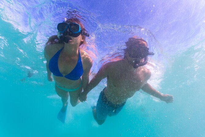 6-Day Coral Coaster from Perth to Exmouth One-Way via Monkey Mia Ningaloo Reef - The Itinerary: What to Expect and Why It Matters