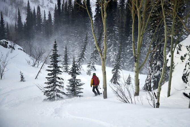6-Day Kazakhstan Ridder Camp Ski Private Guided Tour and Adventure - The Sum Up: Who is This Tour Perfect For?