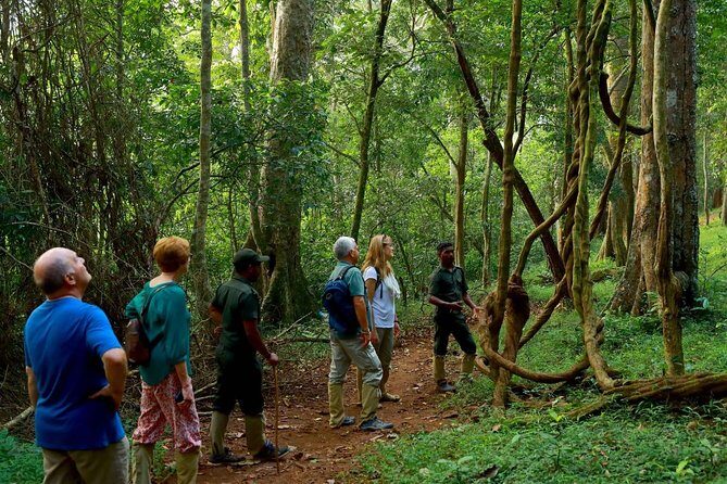 6-Day Kerala Private Tour: Periyar Wildlife Sanctuary - Why This Tour Works
