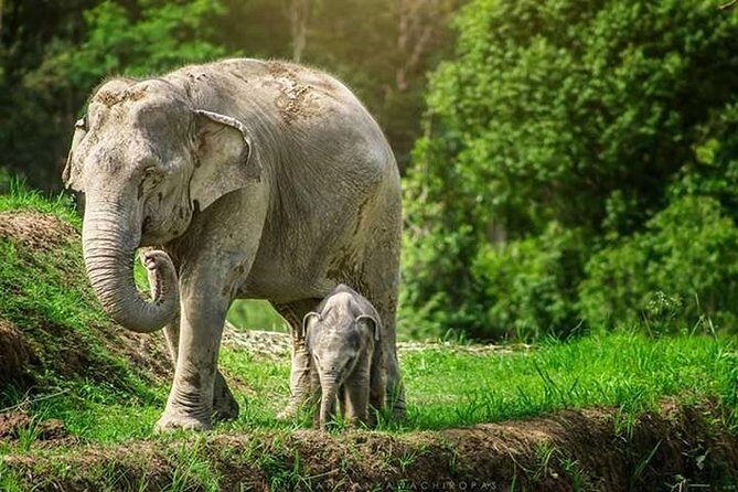 6-Day Northern Thailand Tour: Ayutthaya, Sukhothai, Chiang Mai and Chiang Rai from Bangkok - Final Thoughts