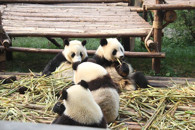 6-Day Private Tour from Chengdu to Zhangjiajie - Final Thoughts