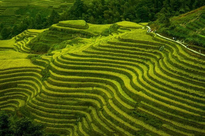 6-Day Private Tour from Guilin to Chongqing - Final Thoughts