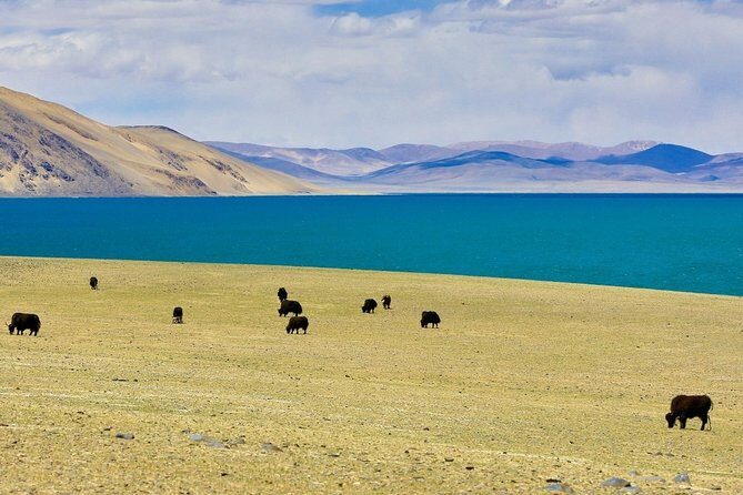 6-Day Small Group Lhasa City and Holy Lake Namtso Tour from Chongqing - Key Points