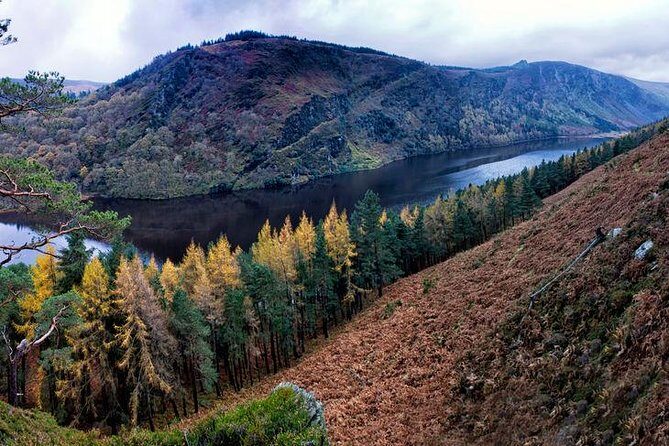 6-Day South of Ireland Tour from Dublin - The Sum Up