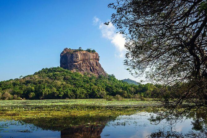 6-Day Sri Lanka Private Tour - Authentic Insights from Past Travelers