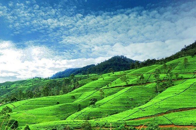 6-Day Sri Lanka Private Tour - The Sum Up