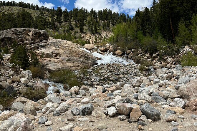 6 Day Tour: Grand Teton, Yellowstone, Rocky Mountain, and Colorado Hot Spring - Frequently Asked Questions