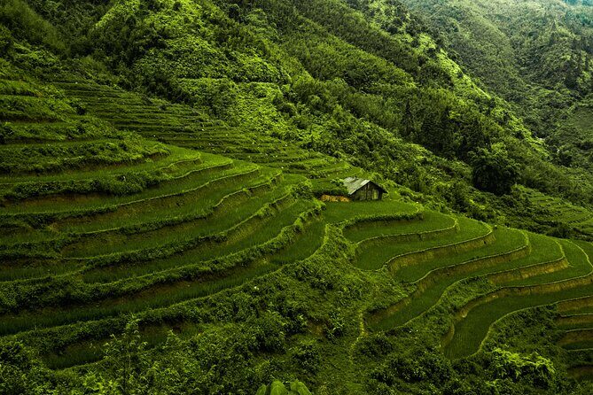 6 Day Tour-The Best of Thailand and Vietnam - An Honest Breakdown of the 6-Day Experience
