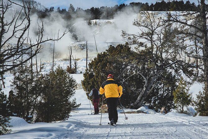 6 Day Winter Wonderland Tour in Yellowstone National Park - Key Points
