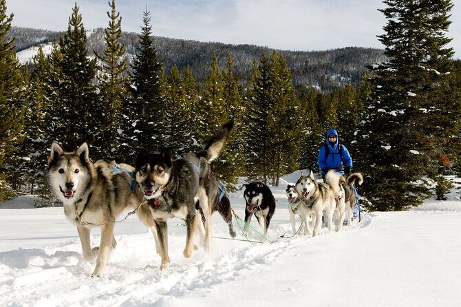 6 Day Winter Wonderland Tour in Yellowstone National Park - FAQ
