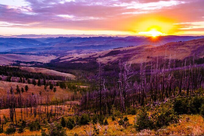 6-Day Yellowstone and Mount Rushmore Tour from Salt Lake City - The Historic and Cultural Stops