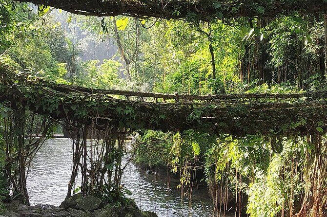 6 Days Assam & Meghalaya Tour - The Experience: What Travelers Say and What You Can Expect
