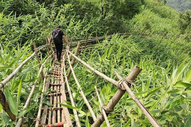 6 Days Assam & Meghalaya Tour - Final Thoughts: Is This Tour Worth It?