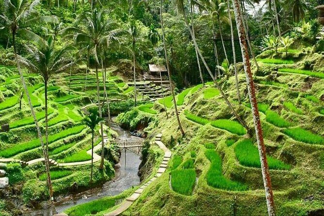 6 Days Best Of Bali And Nusa Penida All Inclusive Private Tour - Key Points