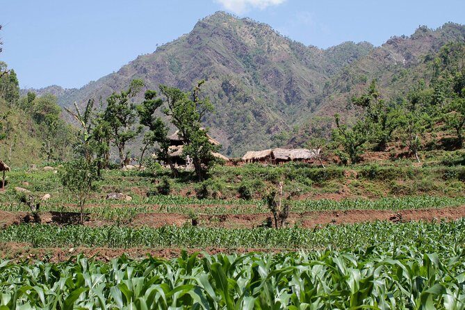 6 Days Chepang Village Homestay Hill Hike - Final Thoughts: Is it Worth It?