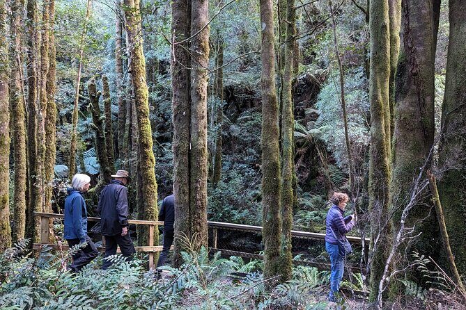 6-Days Discovery Tour of Tasmania - Comfort Style - Final Thoughts: An Authentic, Comfortable Way to See Tasmania