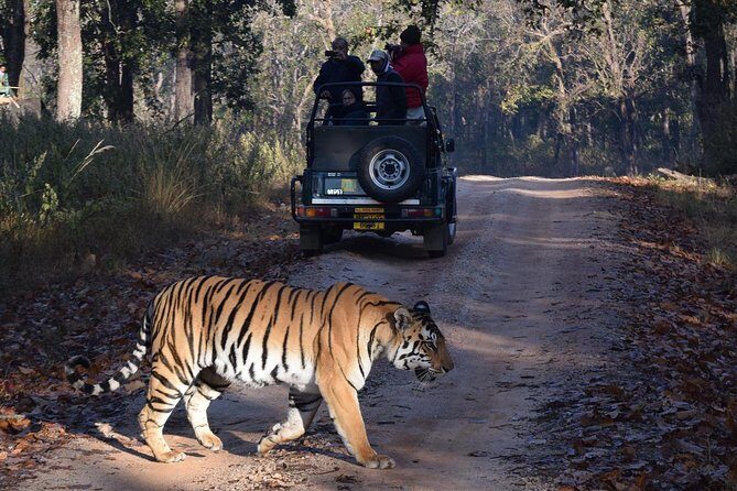 6 Days Golden Triangle Tour with Ranthambore: Delhi Agra Jaipur Ranthambore Tour - Key Points