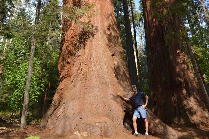 6 Days- Golden West and Utah Parks - Majestic Trees and Mountain Wilderness in Sequoia and Kings Canyon