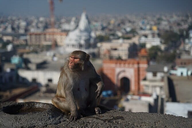 6 Days India Tour - Final Thoughts