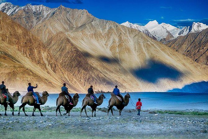 6 Days Magical Ladakh Tour - FAQs