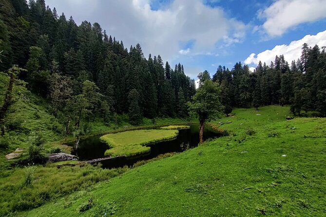 6 Days Phulara Ridge Trek - An In-Depth Look at the 6-Day Phulara Ridge Trek