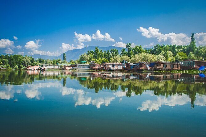 6 Days Private Tour in Kashmir - Day 2: Gulmarg’s Vibrant Meadows and Gondola Rides