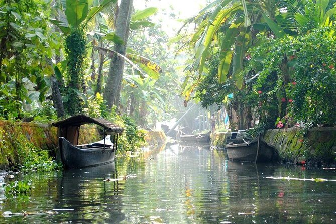 6 Days Private Tour Kerala Natural Retreat - From Coastal Charm to Highland Serenity: Transition to Munnar