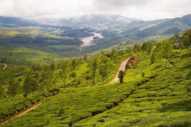 6 Days Private Tour Kerala Natural Retreat - Who Would Love This Tour?