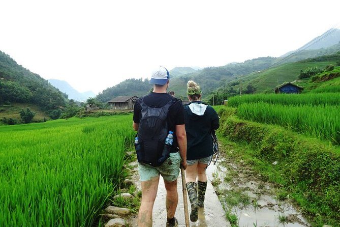 6 days through Hoang Lien National Park to Lao Cai trekking - The Sum Up