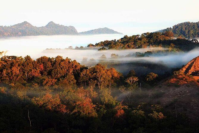 6 days Trekking Camp in Umphang - Day 5: Jungle Trek and Return to Mae Sot