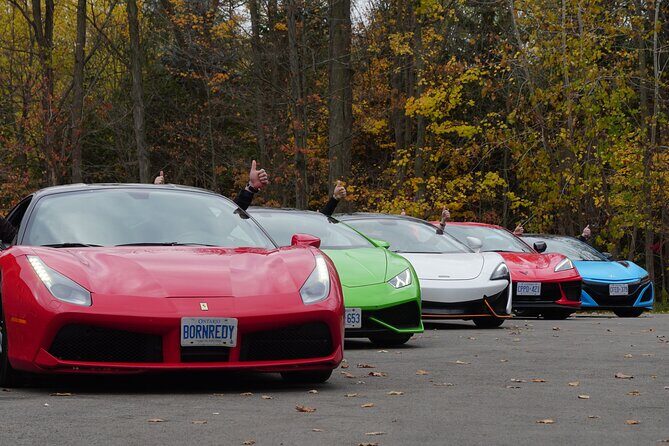 6 Hour Exotic Car Tour driving 6 Super cars + Lunch - Authentic Perspectives: What Participants Say