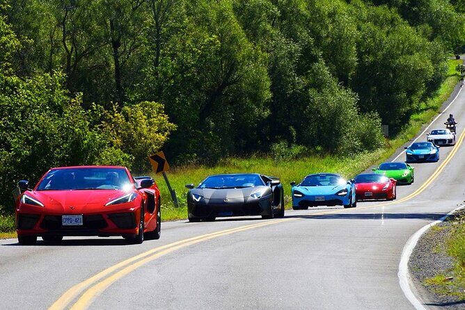 6 Hour Exotic Car Tour driving 6 Super cars + Lunch - Final Thoughts: Who will love this?