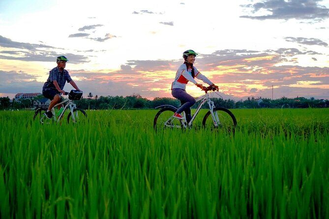 6-hour Exploring Son Tra Peninsula By Bike - Who Might Want to Consider Other Options