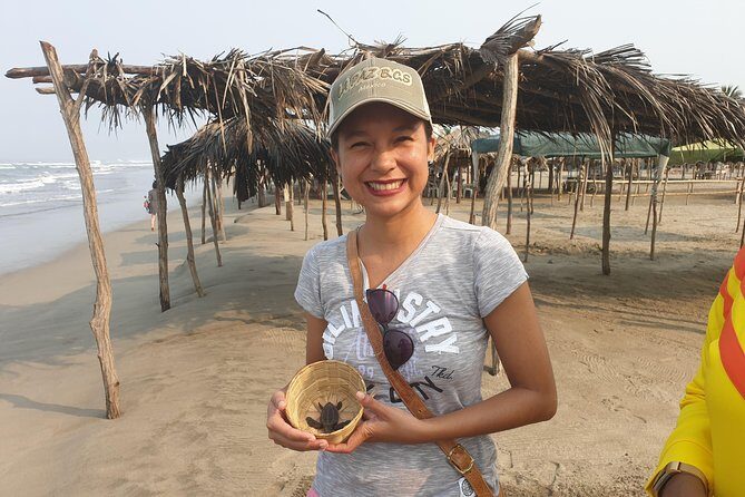 6 Hour Fun-Filled Tour Perfect for Cruise Travelers & Hotel Stays - What’s Included and What You Should Know