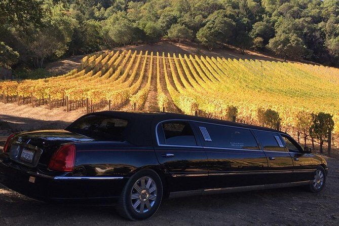 6-Hour Luxury Napa Wine Tasting Tour with Route Planning - What to Expect from the 6-Hour Napa Wine Tasting Experience