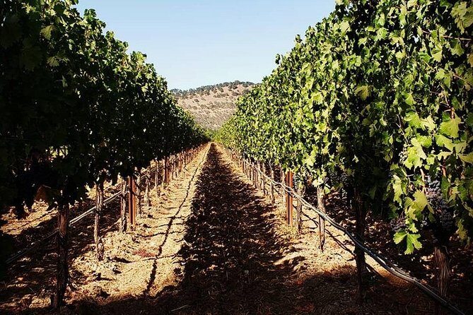 6-Hour Luxury Napa Wine Tasting Tour with Route Planning - The Authenticity and Value of the Tour
