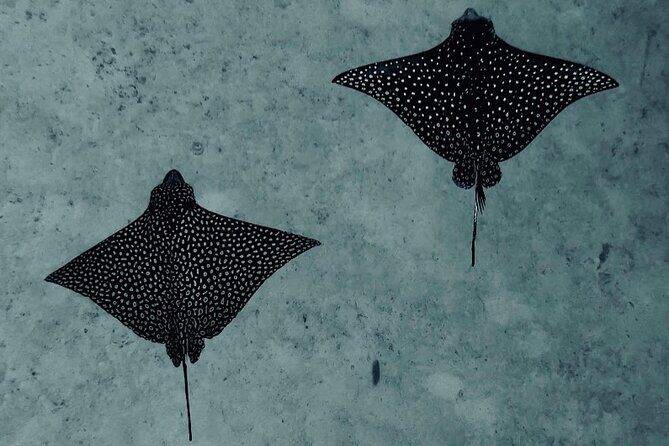 6 Hour Private Boat Activity with Snorkeling & Lunch - Key Points