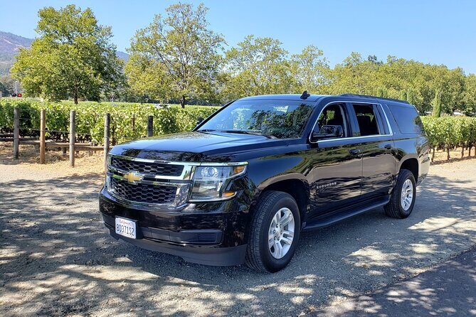 6 Hour Private Cabernet Sauvignon Wine Tour in Napa Valley - Key Points