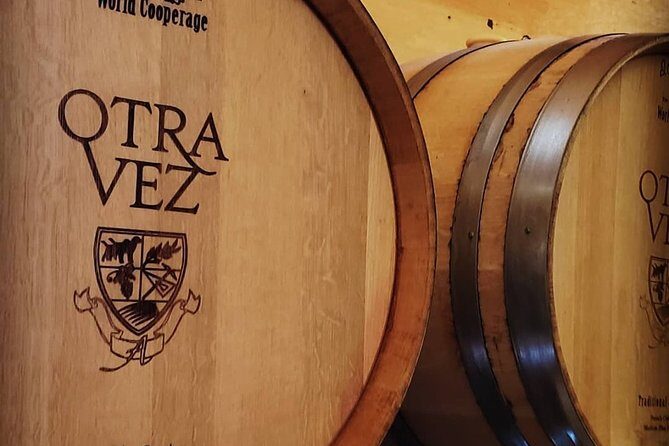 6 Hour Private Cabernet Sauvignon Wine Tour in Napa Valley - An In-Depth Look at the 6-Hour Private Napa Valley Tour