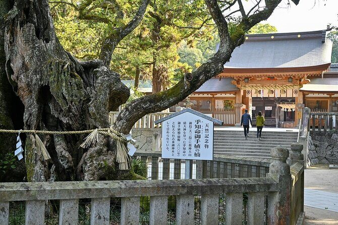 6 Hour Private E bike Tour on Omishima - Why This Tour Might Be Perfect for You