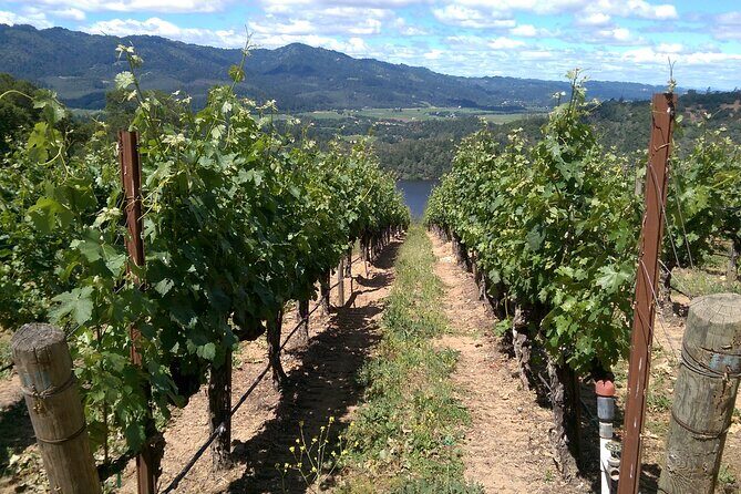 6-Hour Private Napa Limousine Wine Tour (Style & Wine) - Who Is This Tour Best For?